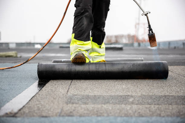 Best Solar Panel Roofing Installation  in Bradley, WV